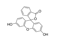 熒光素溶液，5g/L 