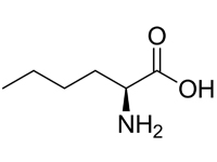 L-正白氨酸，98%（HPLC) 