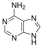 腺嘌呤，BR，98% 